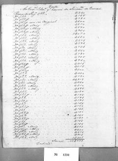 1263