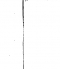 00000291