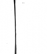 00000304