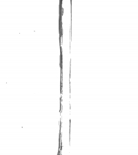 00000317