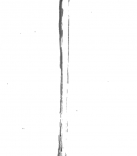 00000319